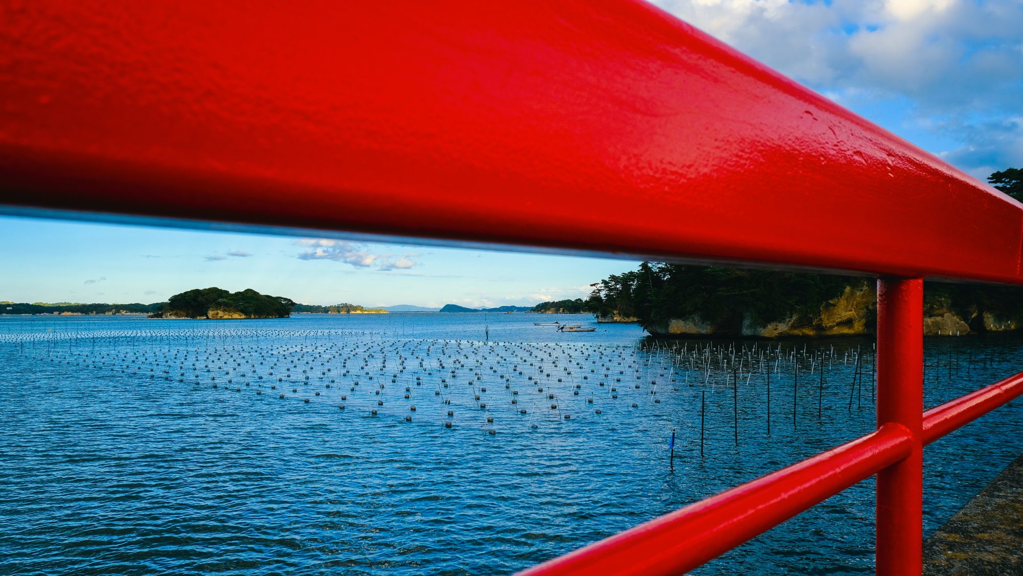 A close-up of a red bridge